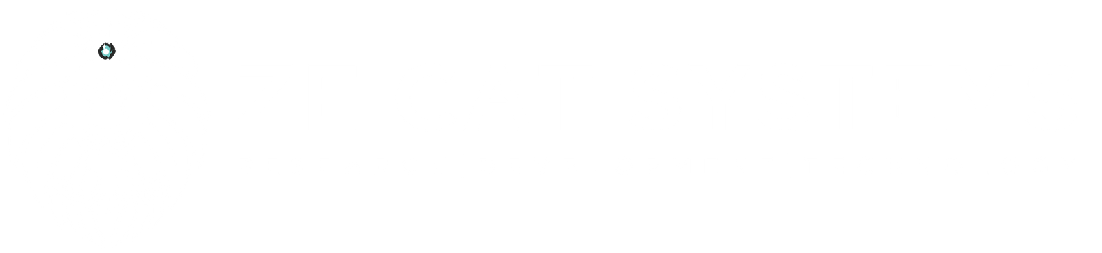 ZE-CAT-SYSTEMS_LOGO-2c